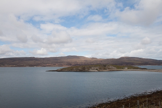 IMG_6766.jpg